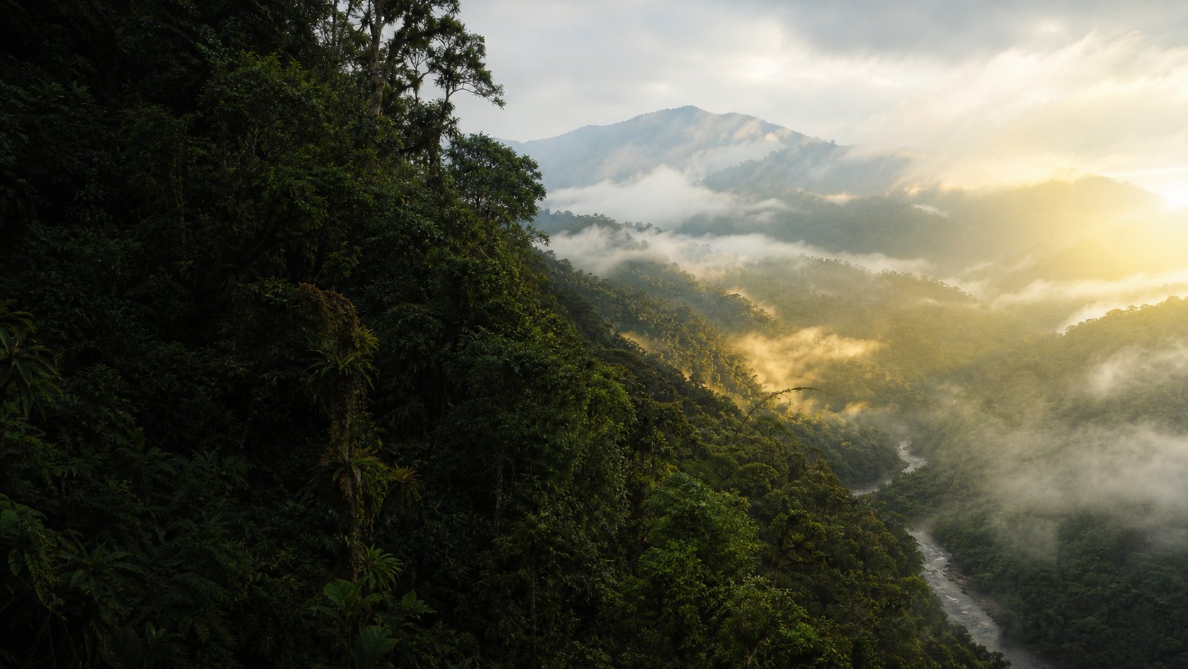 Bosque nublado andino de Ecuador entre montañas y neblina